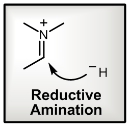 Reductive Amination